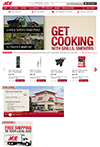 acehardware.com page image